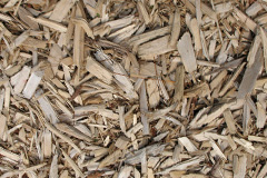 biomass boilers Brownsburn